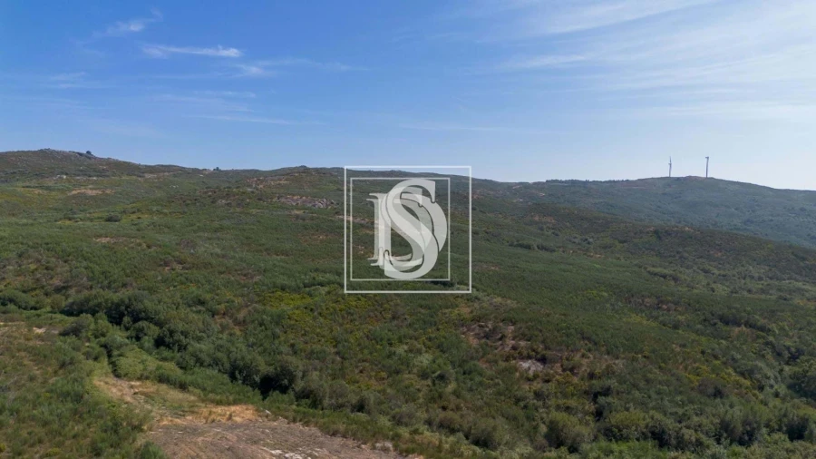 Terreno para Venda em Gouveia (São Simão) Foto 4