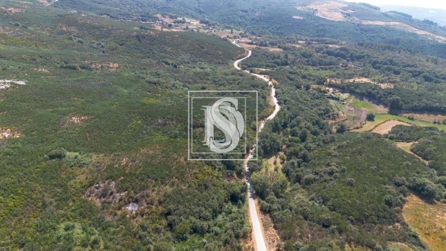 Terreno para Venda em Gouveia (São Simão) Foto 10
