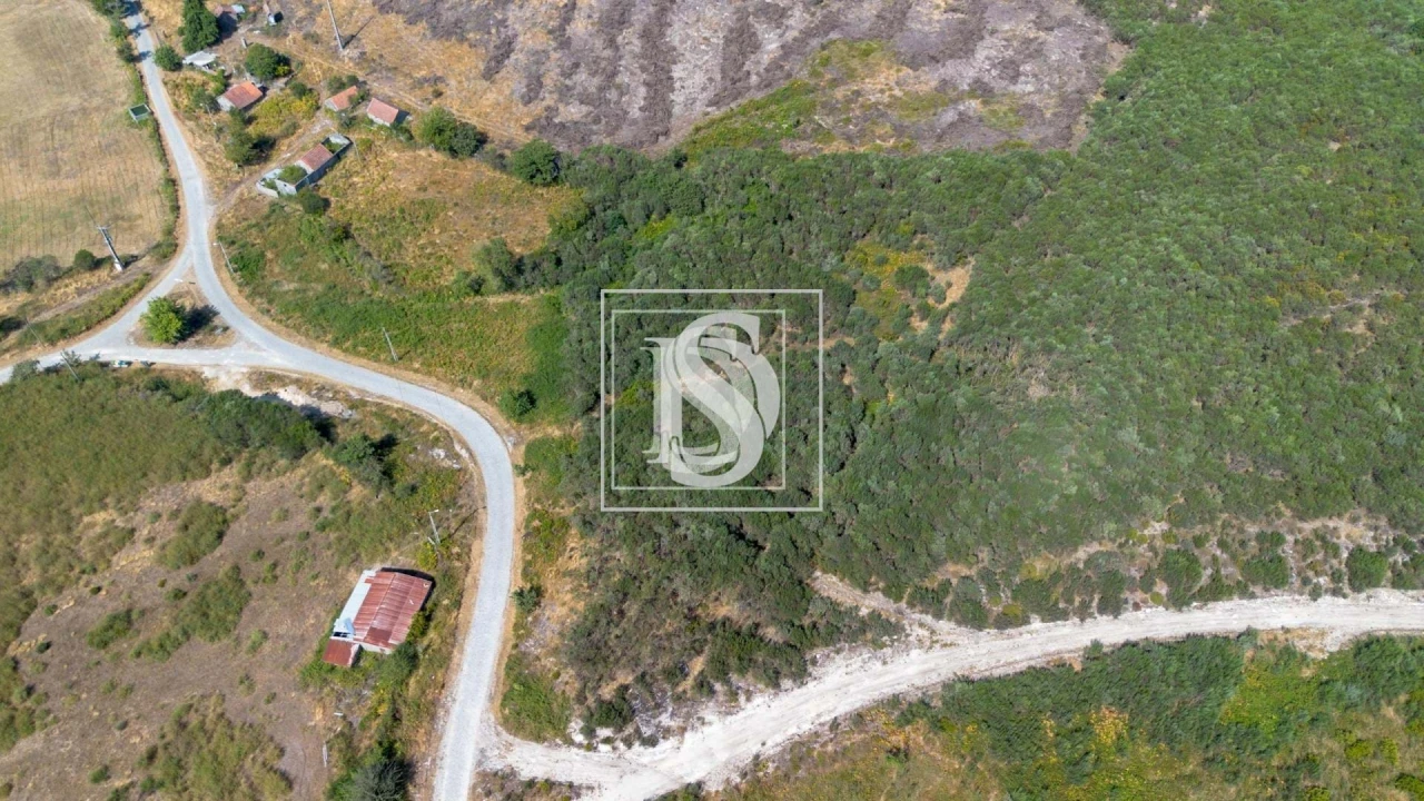 Terreno para Venda em Gouveia (São Simão) Foto 7