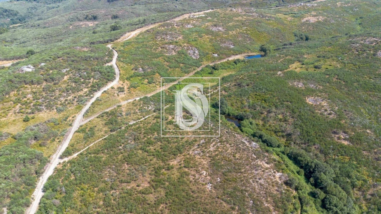 Terreno para Venda em Gouveia (São Simão) Foto 9