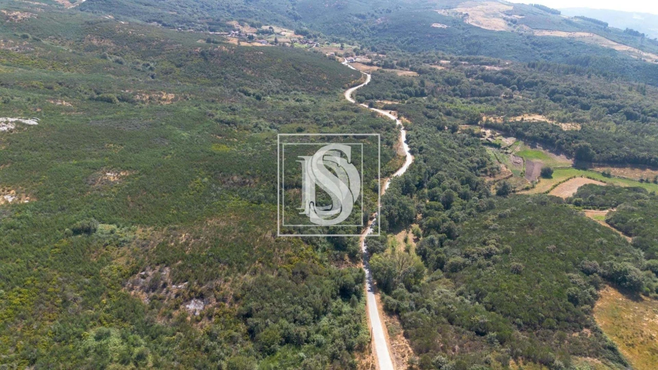 Terreno para Venda em Gouveia (São Simão) Foto 10