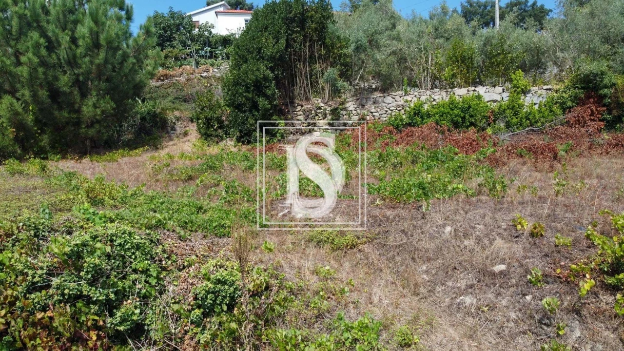 Terreno para Venda em Ancede e Ribadouro Foto 21