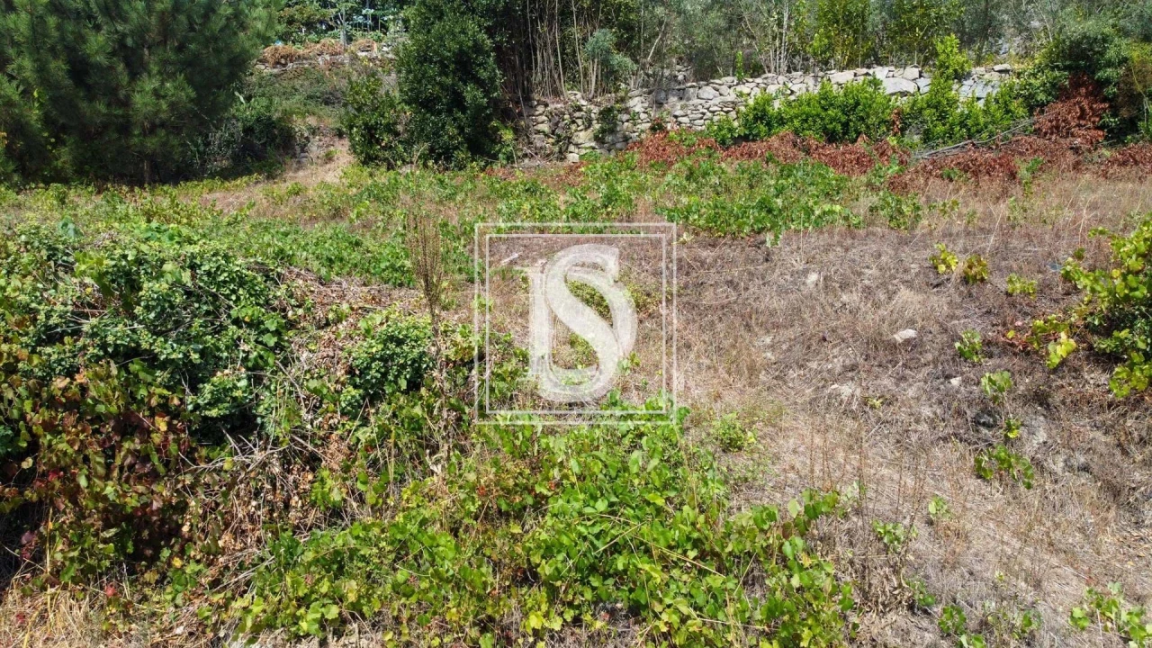 Terreno para Venda em Ancede e Ribadouro Foto 20