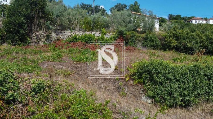 Terreno para Venda em Ancede e Ribadouro Foto 24