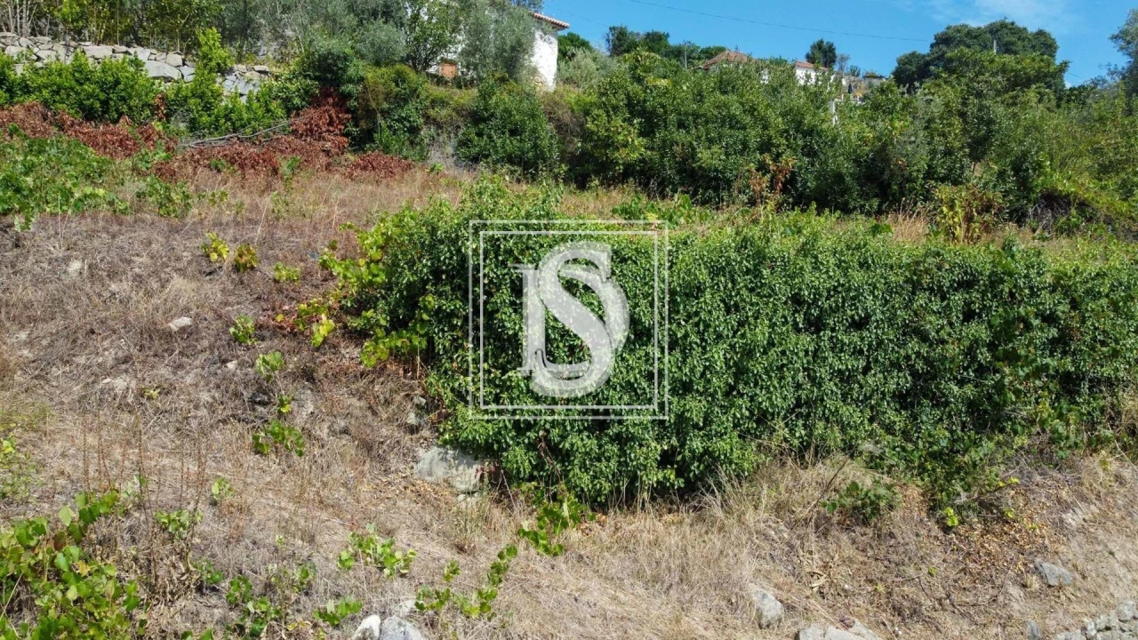 Terreno para Venda em Ancede e Ribadouro Foto 19