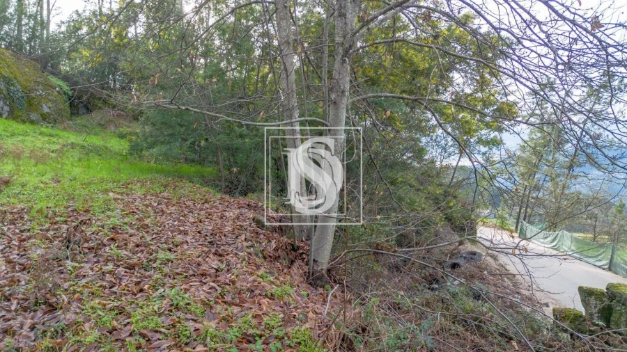 Terreno para Venda em Salvador do Monte Foto 17