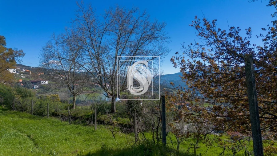Terreno para Venda em Ancede e Ribadouro Foto 4