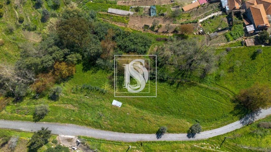 Terreno para Venda em Ancede e Ribadouro Foto 9