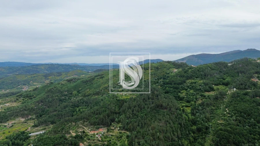 Moradia T2 para Venda em Bustelo, Carneiro e Carvalho de Rei Foto 22