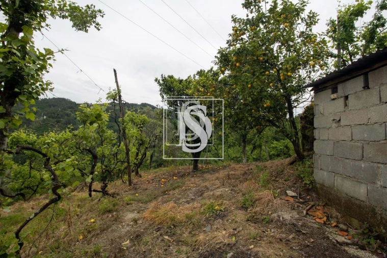 Moradia T2 para Venda em Bustelo, Carneiro e Carvalho de Rei Foto 35