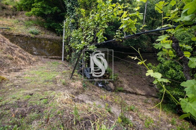 Moradia T2 para Venda em Bustelo, Carneiro e Carvalho de Rei Foto 38