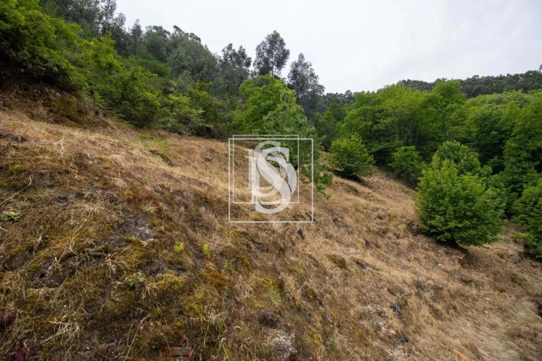 Moradia T2 para Venda em Bustelo, Carneiro e Carvalho de Rei Foto 28