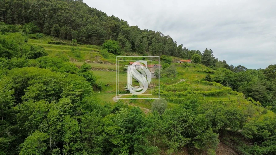 Moradia T2 para Venda em Bustelo, Carneiro e Carvalho de Rei Foto 19