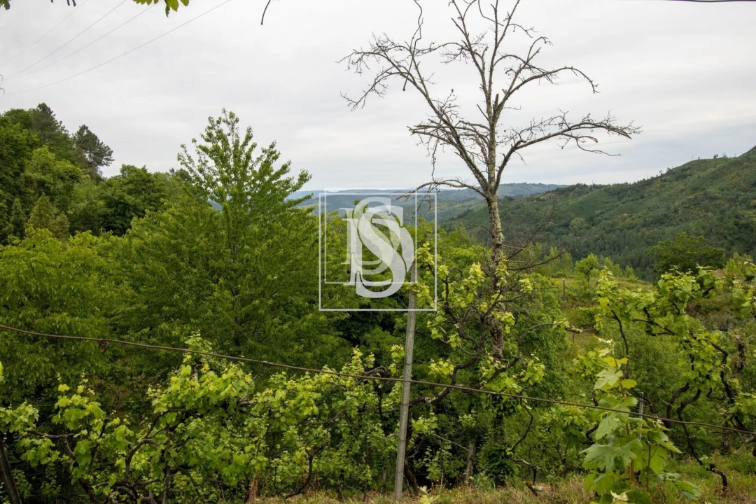 Moradia T2 para Venda em Bustelo, Carneiro e Carvalho de Rei Foto 34