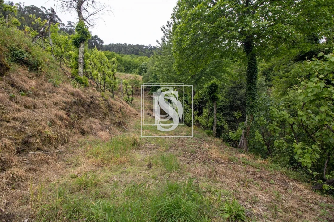 Moradia T2 para Venda em Bustelo, Carneiro e Carvalho de Rei Foto 36