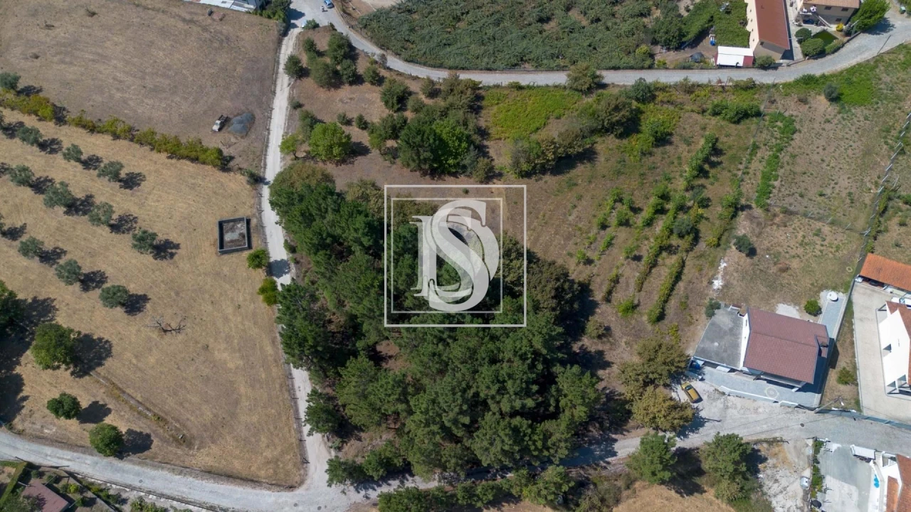 Terreno para Venda em Fregim Foto 8