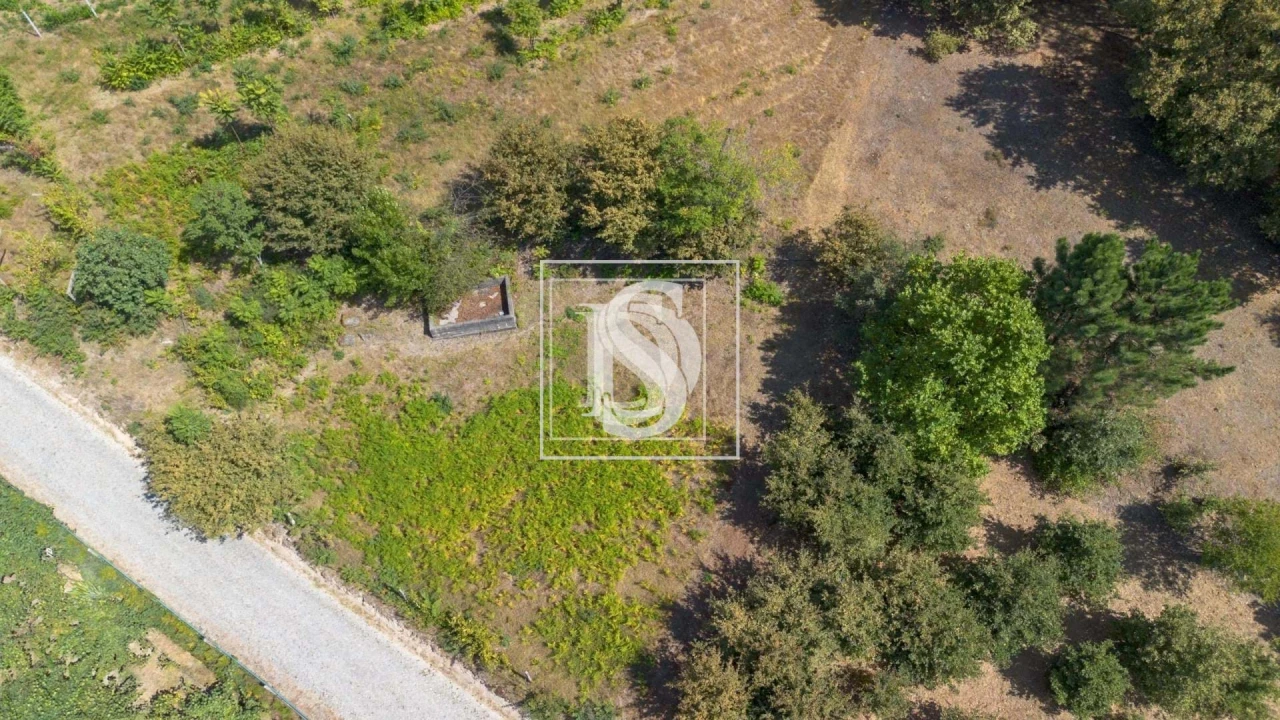 Terreno para Venda em Fregim Foto 5
