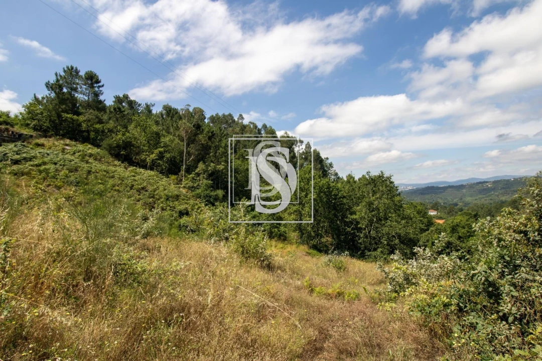 Terreno para Venda em Gouveia (São Simão) Foto 18