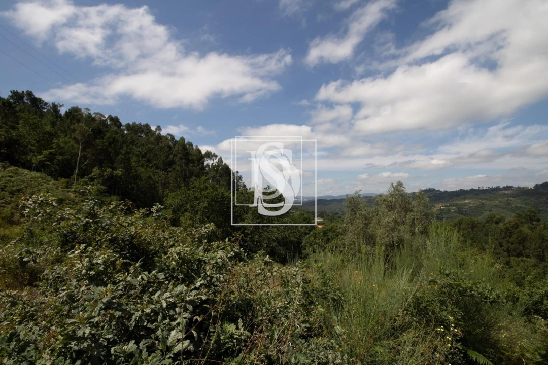 Terreno para Venda em Gouveia (São Simão) Foto 20