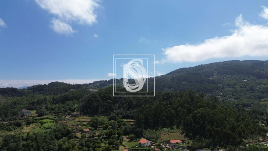 Terreno para Venda em Gouveia (São Simão) Foto 13