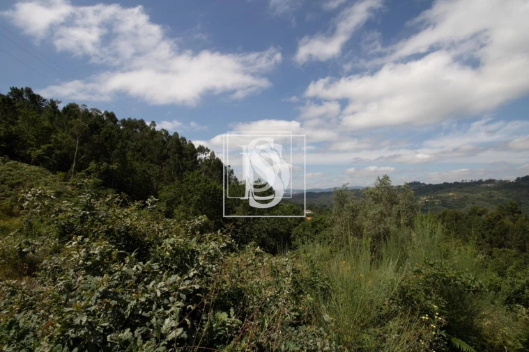 Terreno para Venda em Gouveia (São Simão) Foto 20