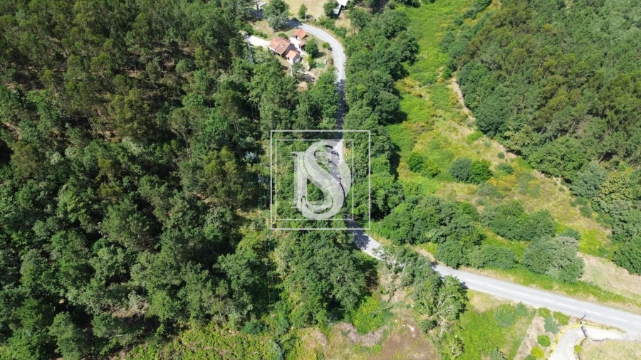 Terreno para Venda em Gouveia (São Simão) Foto 9