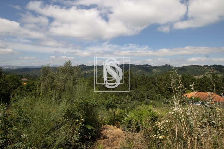 Terreno para Venda em Gouveia (São Simão) Foto 19