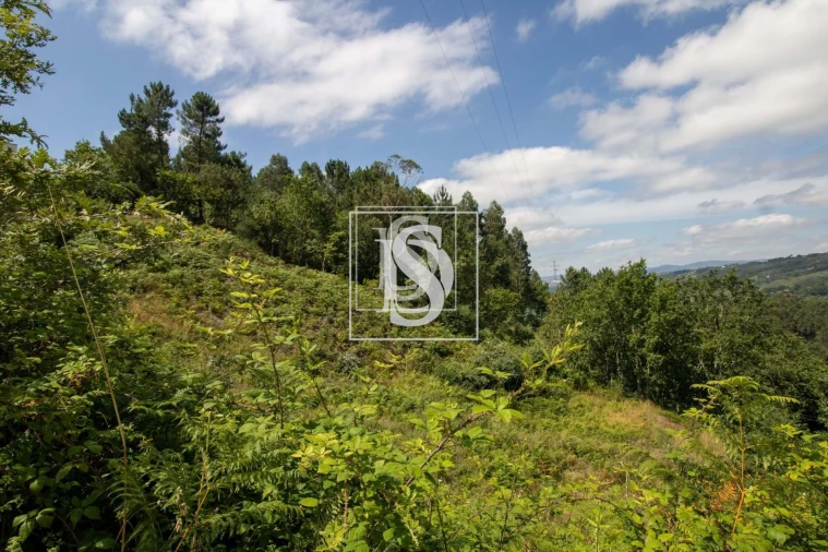 Terreno para Venda em Gouveia (São Simão) Foto 16