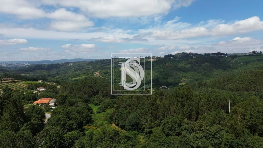 Terreno para Venda em Gouveia (São Simão) Foto 7