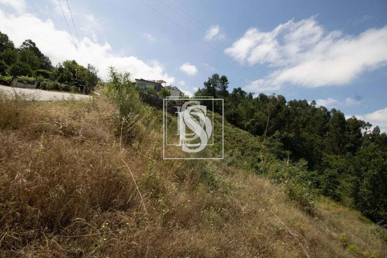 Terreno para Venda em Gouveia (São Simão) Foto 22