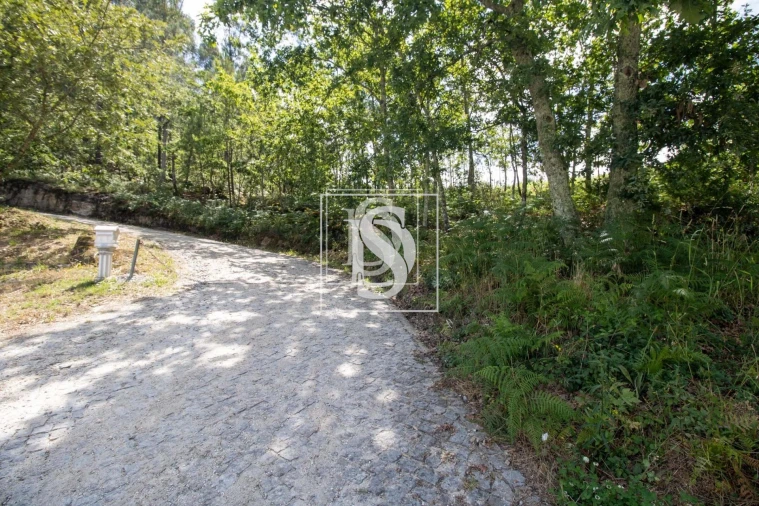 Terreno para Venda em Gouveia (São Simão) Foto 15