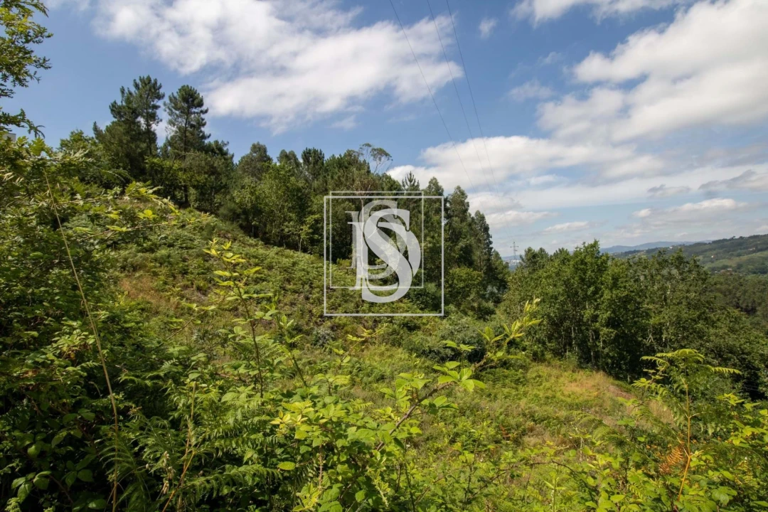 Terreno para Venda em Gouveia (São Simão) Foto 16