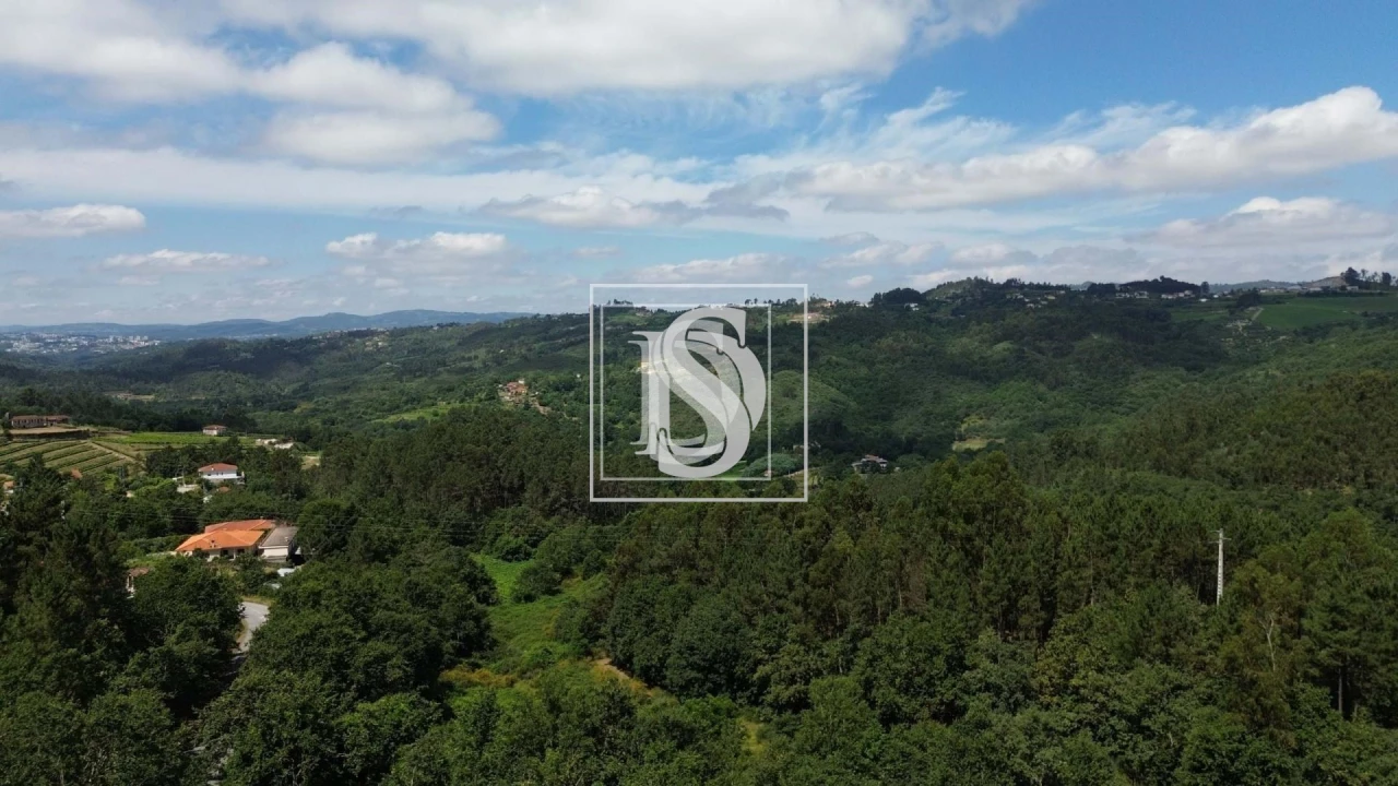 Terreno para Venda em Gouveia (São Simão) Foto 7