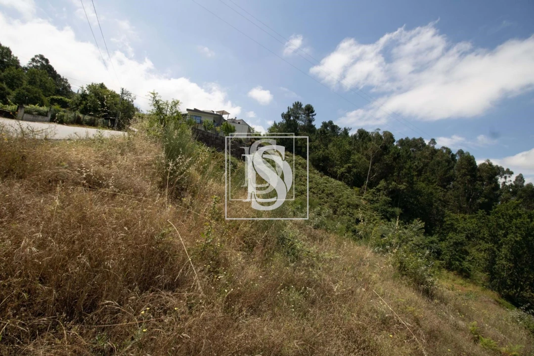 Terreno para Venda em Gouveia (São Simão) Foto 22