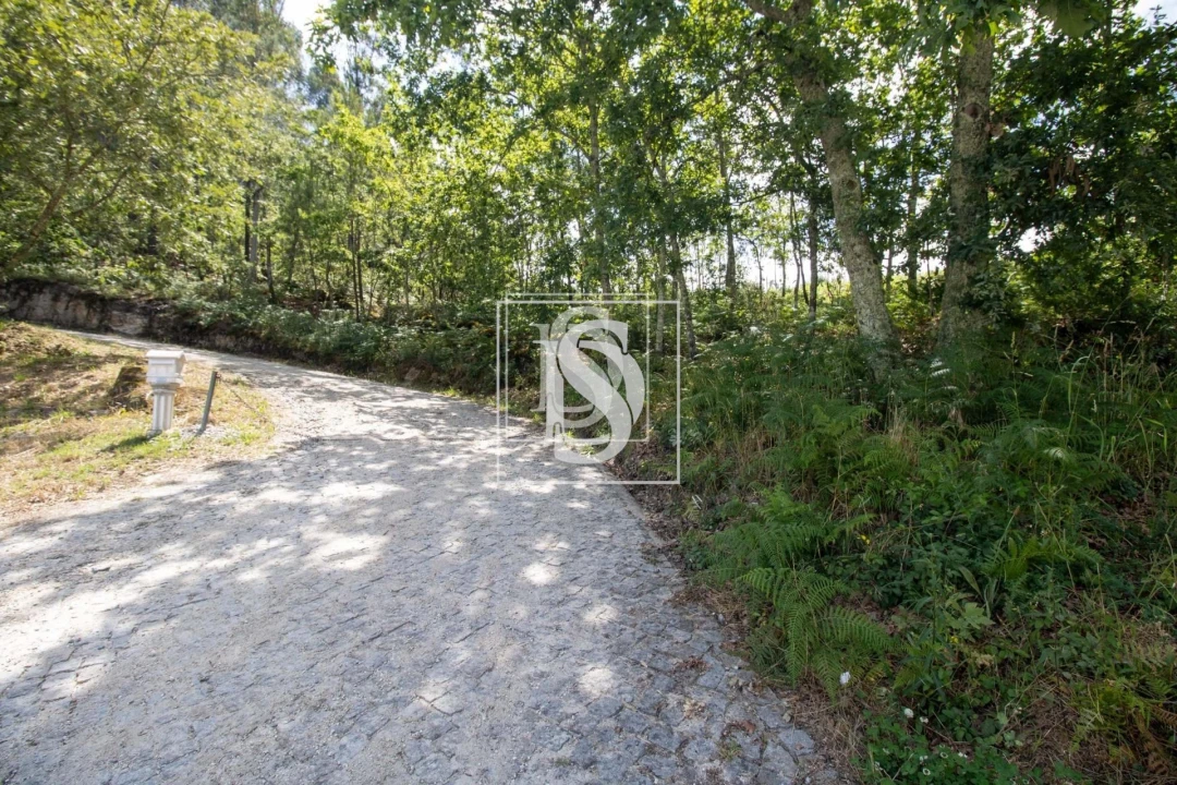 Terreno para Venda em Gouveia (São Simão) Foto 15