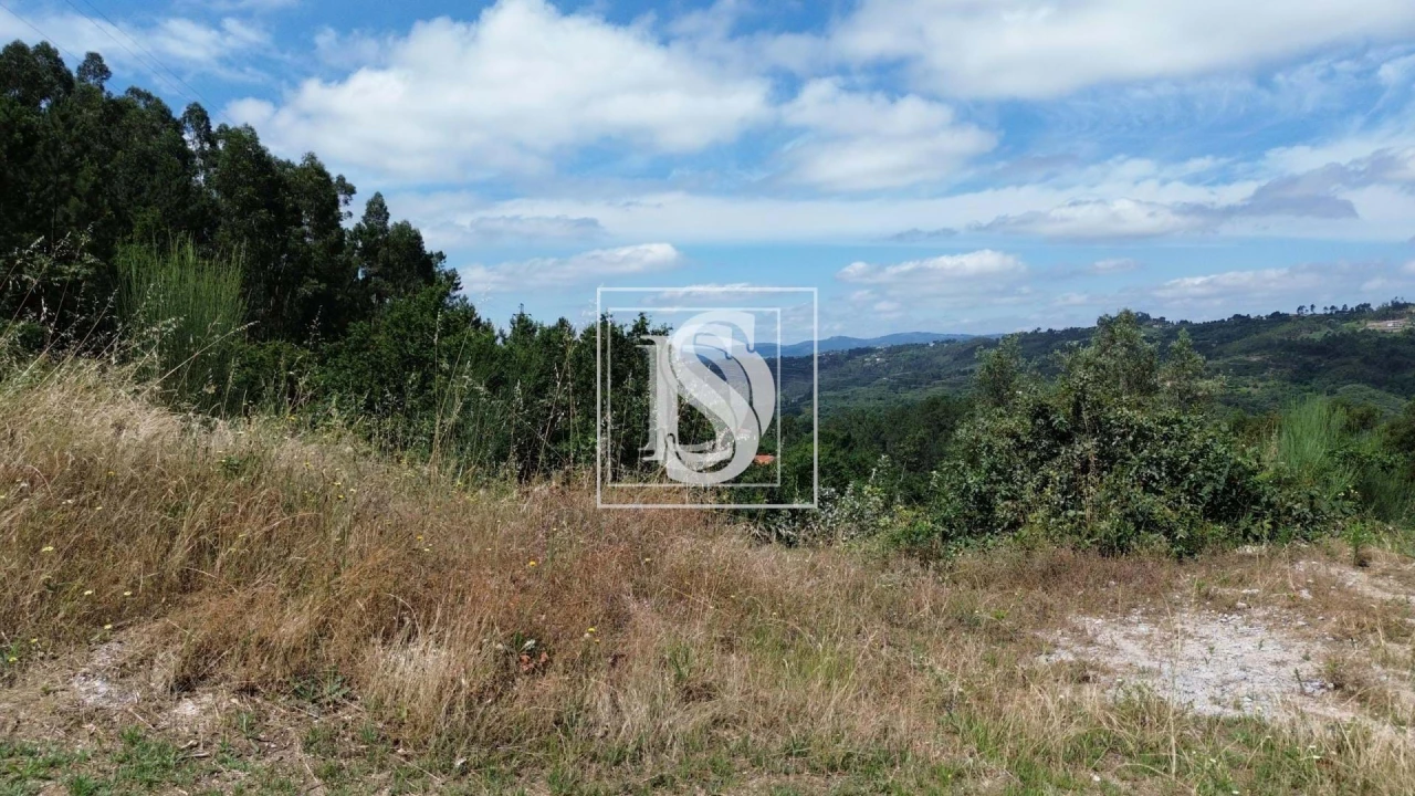 Terreno para Venda em Gouveia (São Simão) Foto 4