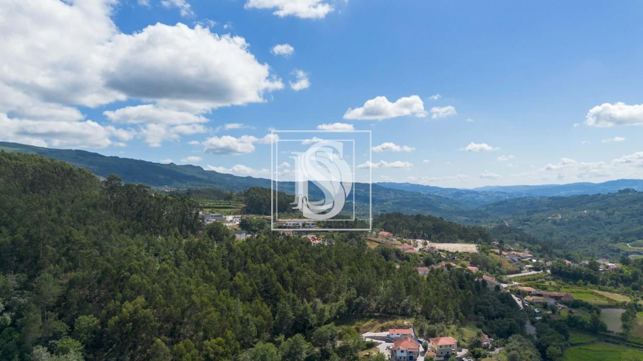 Terreno para Venda em Jazente Foto 13