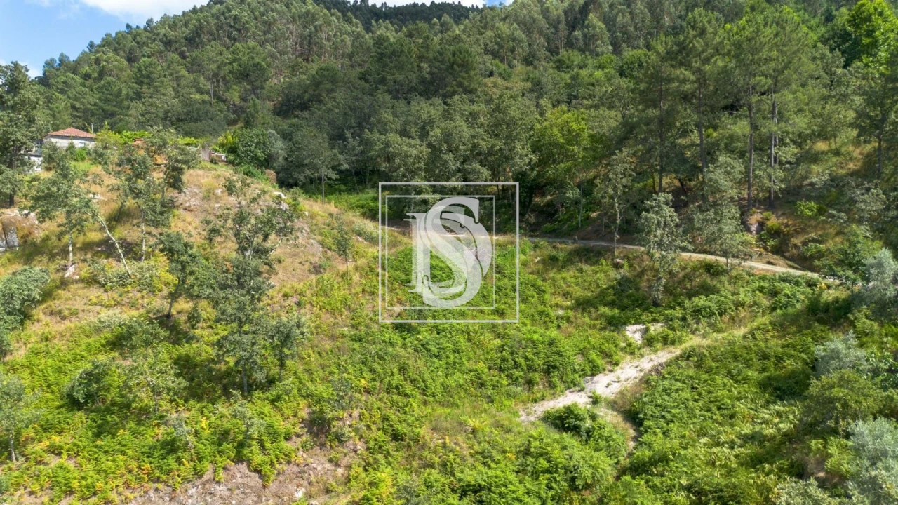 Terreno para Venda em Jazente Foto 7