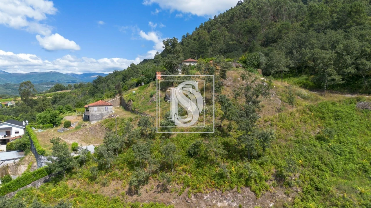 Terreno para Venda em Jazente Foto 8