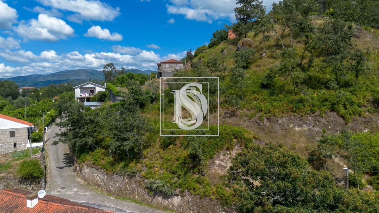 Terreno para Venda em Jazente Foto 20