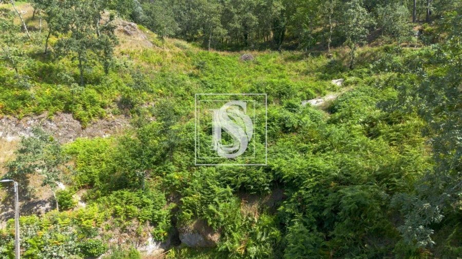 Terreno para Venda em Jazente Foto 19