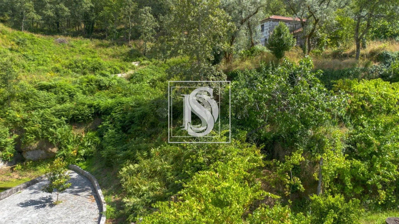 Terreno para Venda em Jazente Foto 6