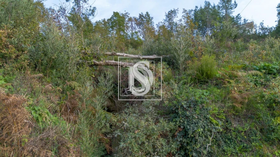 Terreno para Venda em Ansiães Foto 8