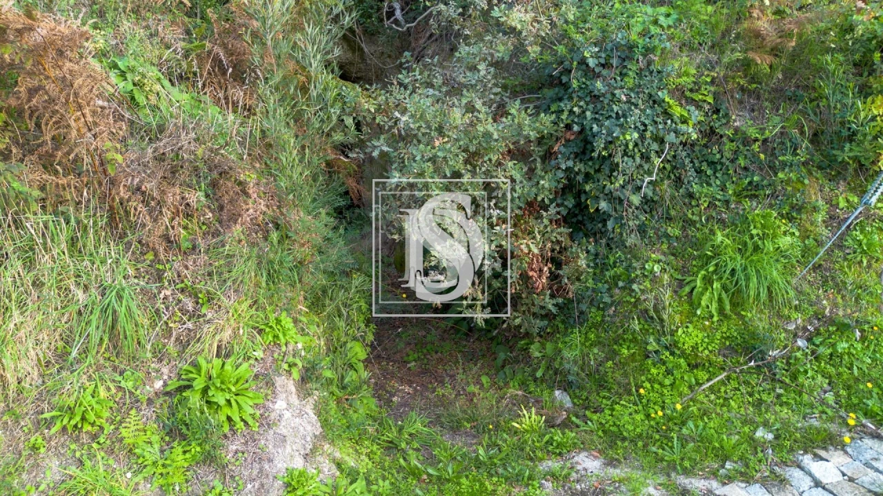 Terreno para Venda em Ansiães Foto 9