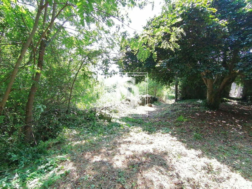 Moradia para Venda em Banho e Carvalhosa Foto 5