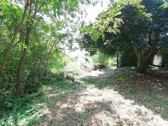 Moradia para Venda em Banho e Carvalhosa Foto 5