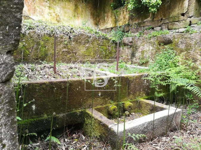 Moradia para Venda em Banho e Carvalhosa Foto 13