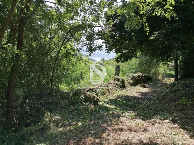 Moradia para Venda em Banho e Carvalhosa Foto 15