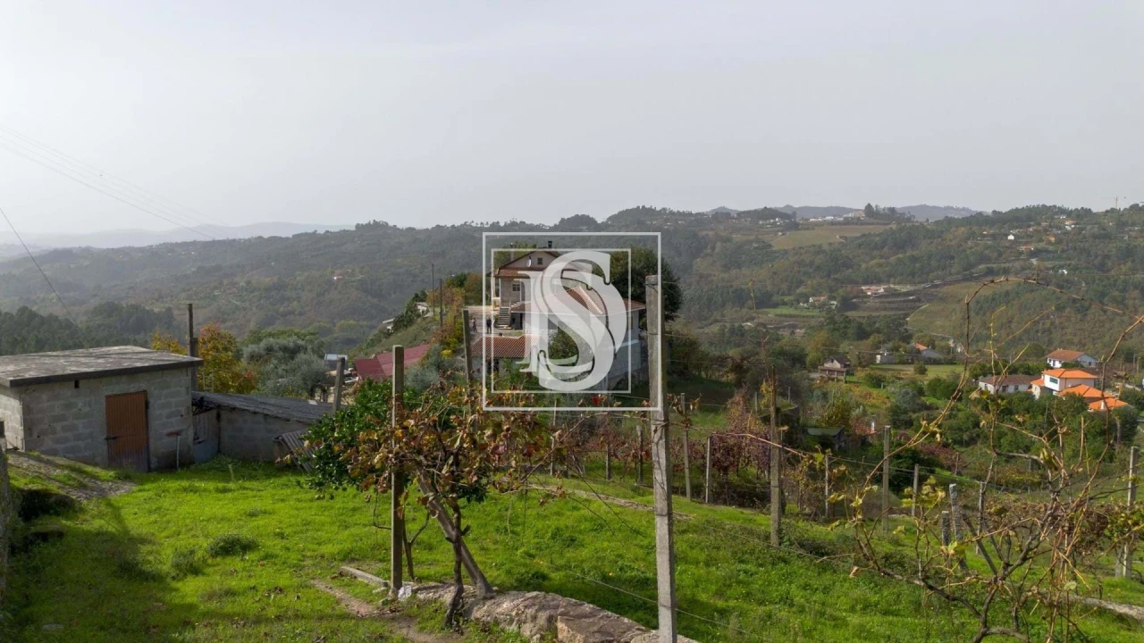 Terreno para Venda em Jazente Foto 17