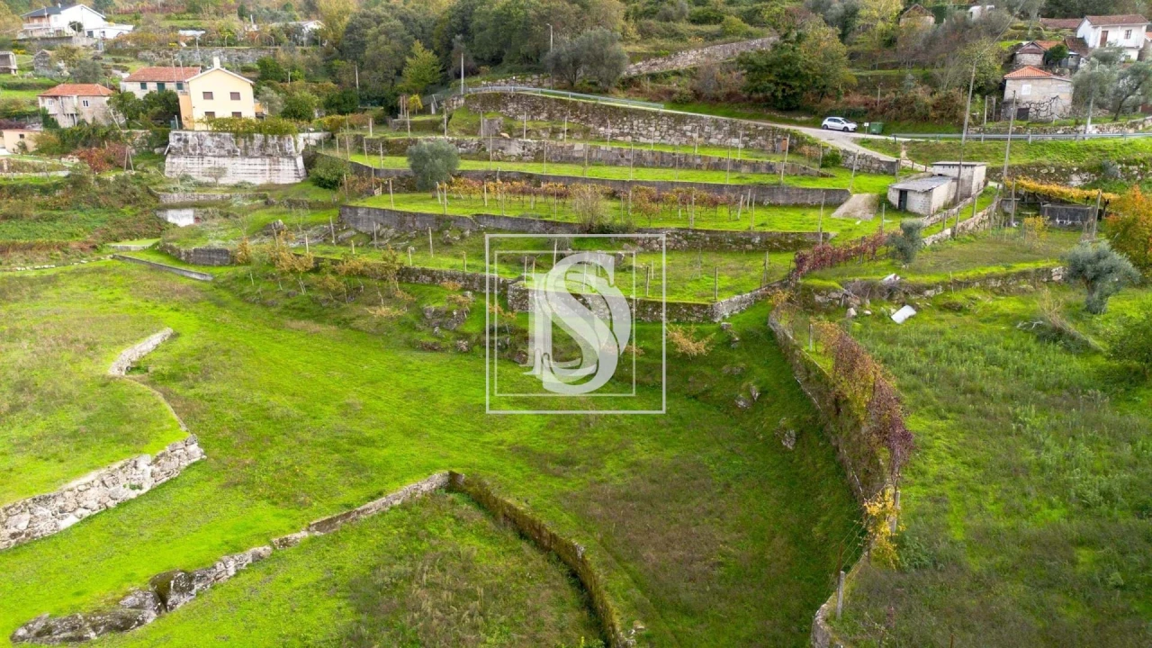 Terreno para Venda em Jazente Foto 2